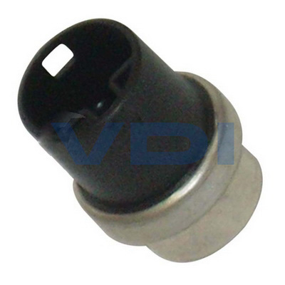 Cooling Water Temperature Sensor 251 919 501